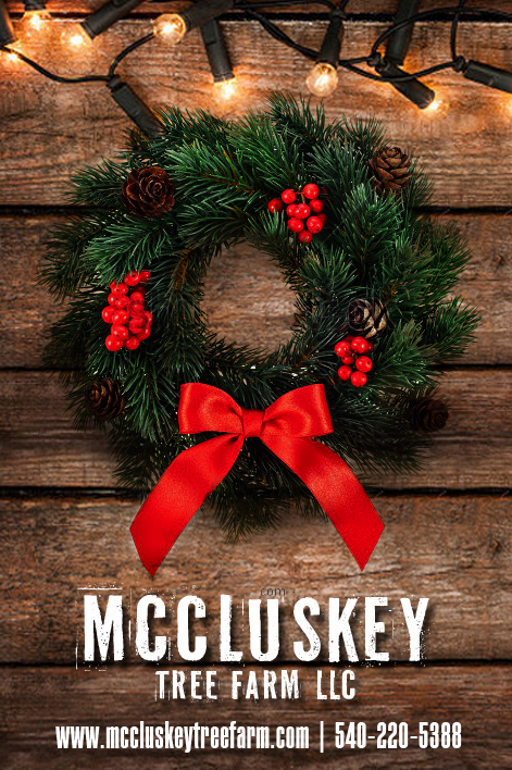 Diseño de Postal por Alaya para McCluskey Tree Farm LLC | Diseño #3445794