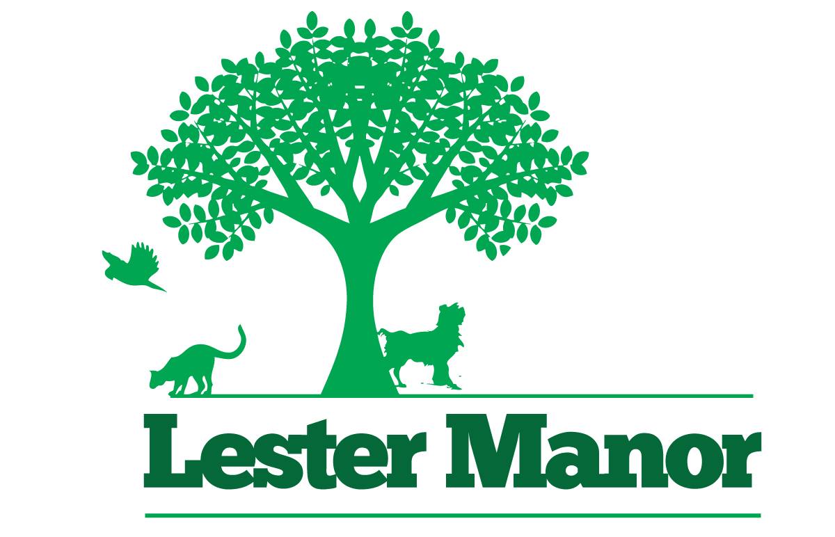 Logo Design by tigerfox for this project | Design #3471110