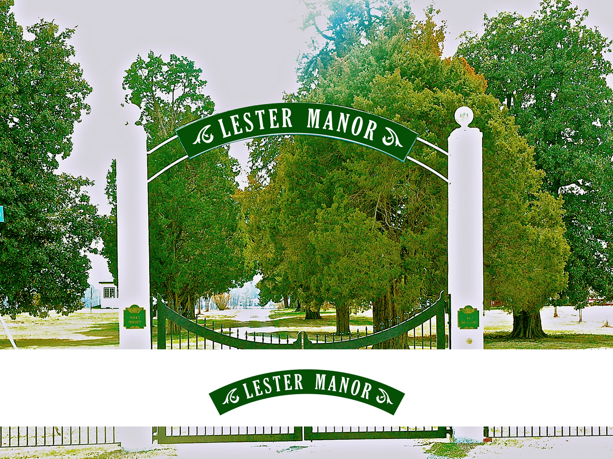 Logo Design by DoveFendi for this project | Design #3427780