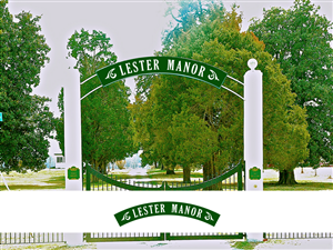 Logo Design by DoveFendi for this project | Design: #3427780