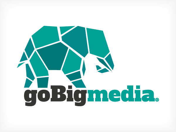 South African Go Big Media Logo by bentpencil