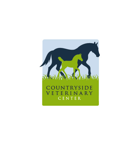 Logo Design by Marta Sobczak  for this project | Design #3705783