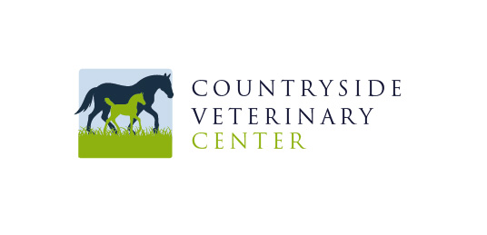 Logo Design by Marta Sobczak  for this project | Design #3750850