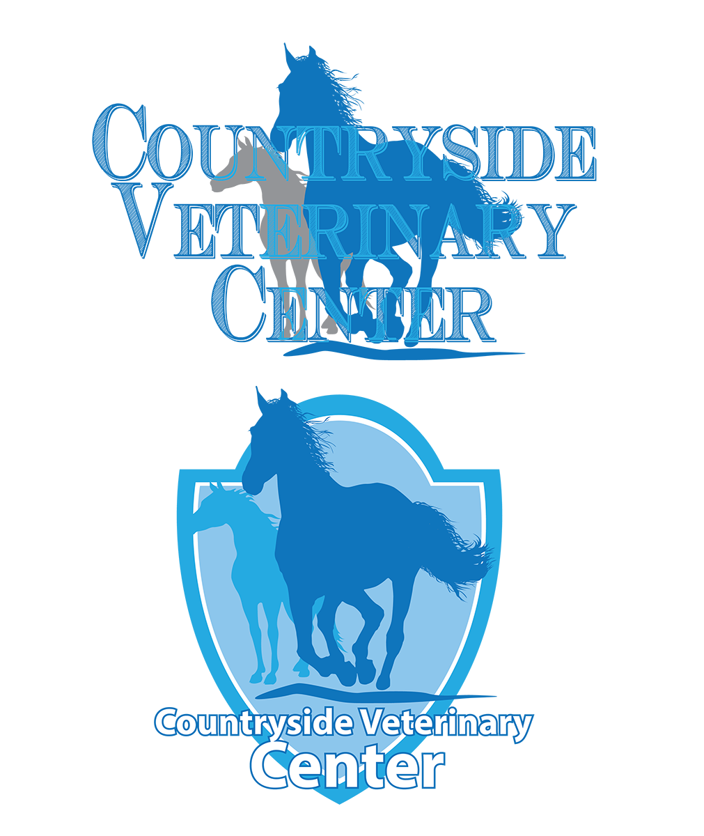 Logo-Design von RoobyDesigns für dieses Projekt | Design #3475334