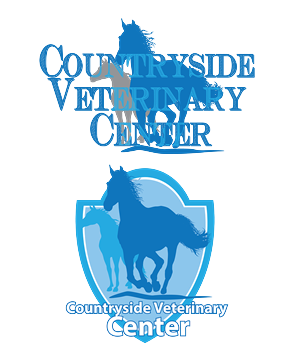 Logo Design by RoobyDesigns