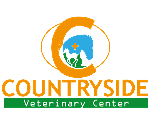 Logo Design by txt2me