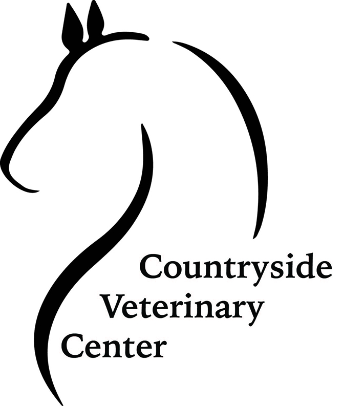 Logo-Design von Jessa Jesign für dieses Projekt | Design #3429147