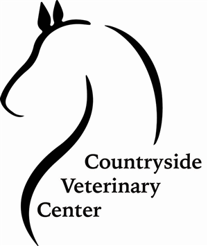 Logo Design by Jessa Jesign for this project | Design #3429147