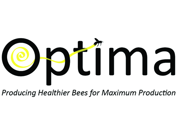 Logo Design by Leo Design for this project | Design #86606