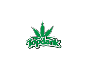 Logo Design by Fahrivez