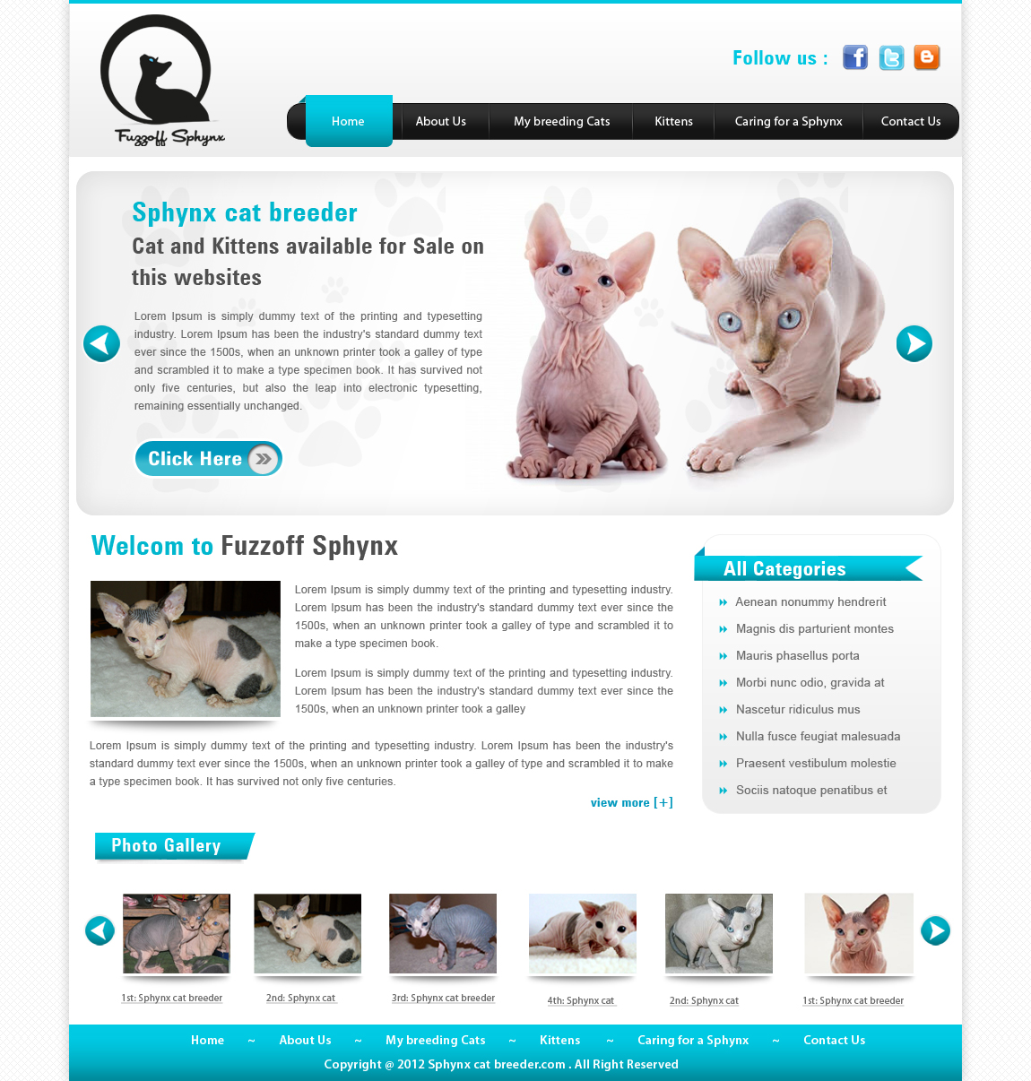 Web-Design von webxvision für dieses Projekt | Design #868851