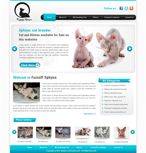 Web Design par webxvision pour ce projet | Design : #868851