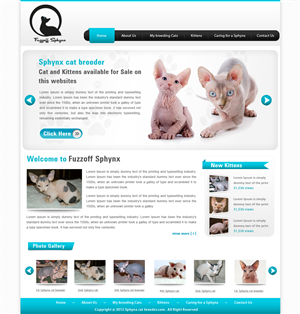 Web Design par webxvision pour ce projet | Design : #883551