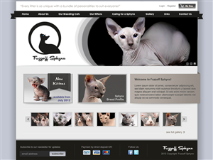 Web Design par Lara pour ce projet | Design : #853902