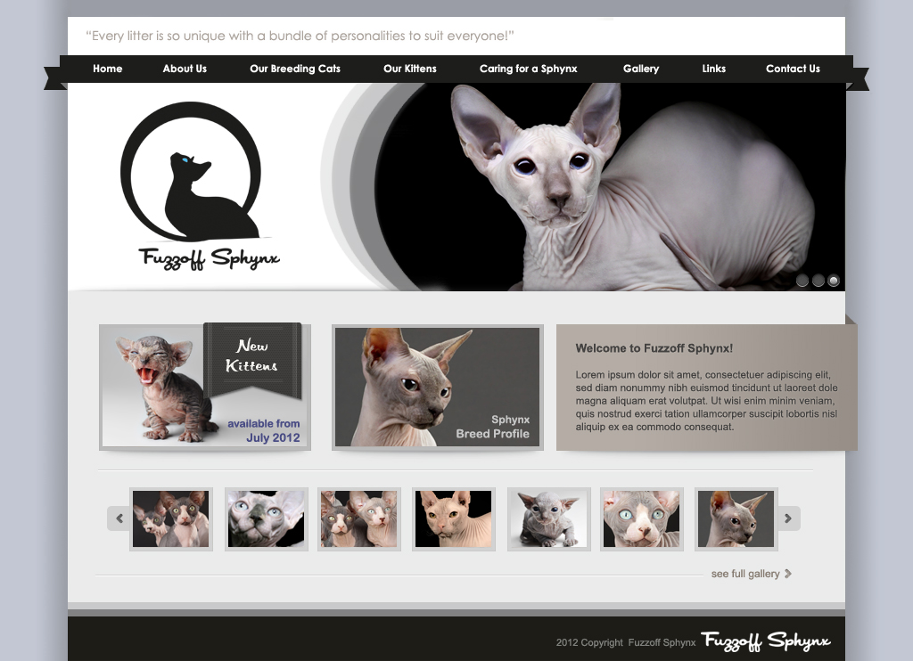 Web Design by Lara for this project | Design #853945