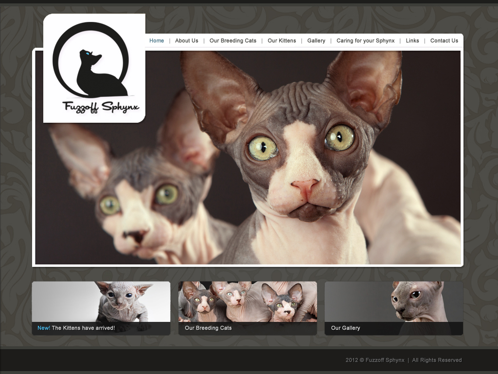 Web Design par Lara pour ce projet | Design #854227