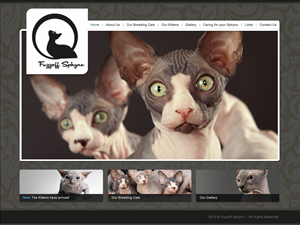 Web Design par Lara pour ce projet | Design : #854229