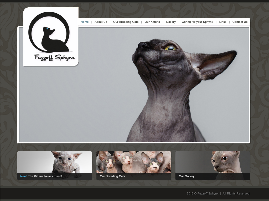 Web Design by Lara for this project | Design #854238