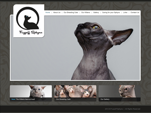 Web Design par Lara pour ce projet | Design : #854238