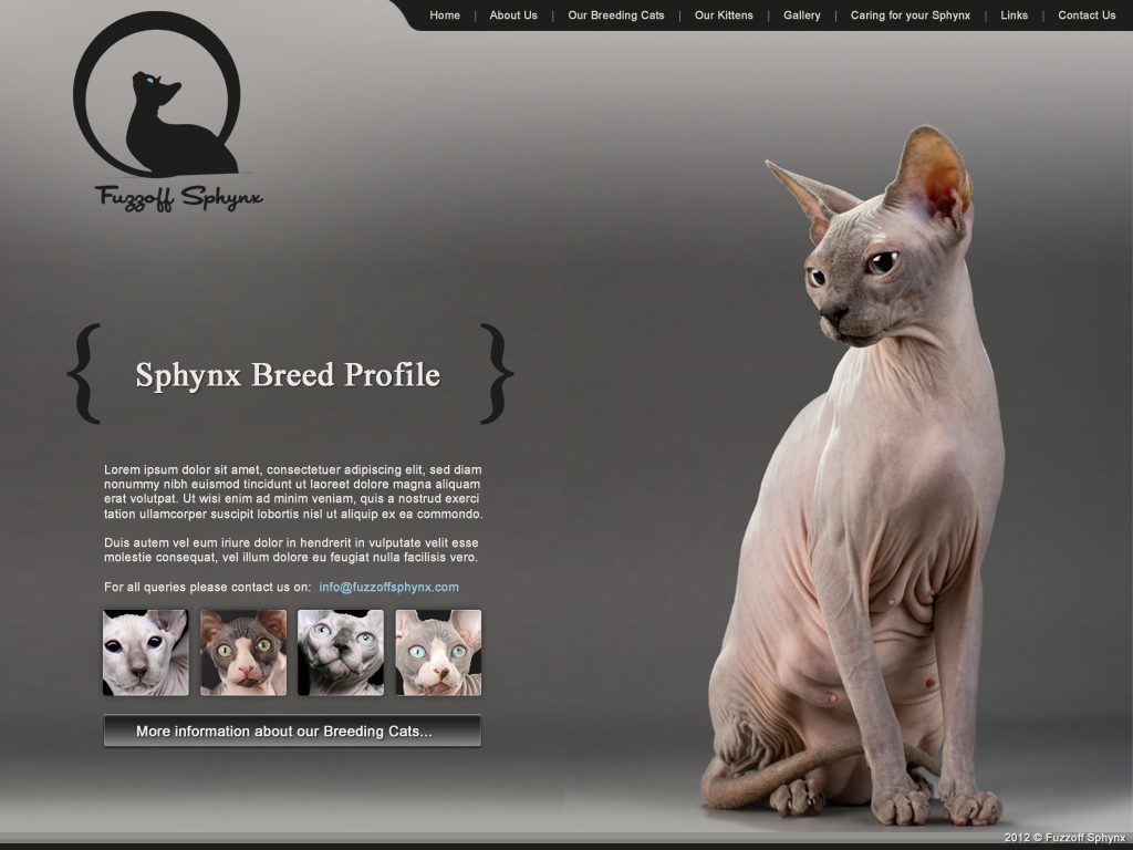 Web Design par Lara pour ce projet | Design : #862186