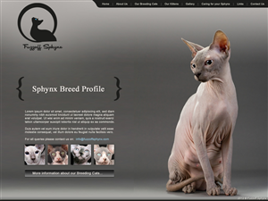 Web Design by Lara