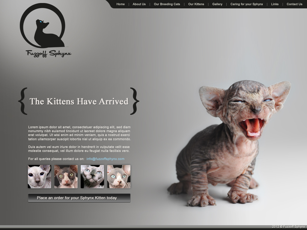Web Design by Lara for this project | Design #862187