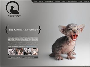 Web Design par Lara pour ce projet | Design : #862187