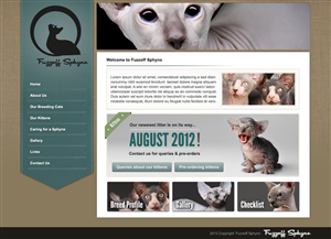 Sphynx Cat Breeder | Web Design par Lara