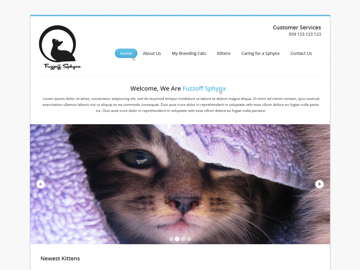 Web Design by Budi Tanrim for this project | Design #856461