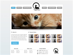 Web Design par Budi Tanrim pour ce projet | Design : #859605