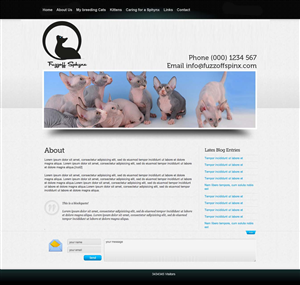 Web Design by njf for this project | Design #861281