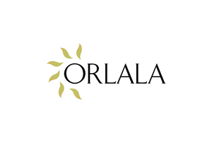 Logo Design by compo