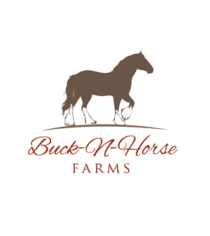 Logo Design by Marta Sobczak  for Buck -N- Horse Farms | Design: #3526581