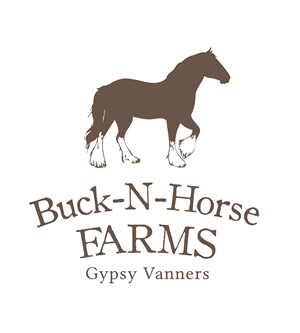 Logo Design by Marta Sobczak  for Buck -N- Horse Farms | Design: #3526582