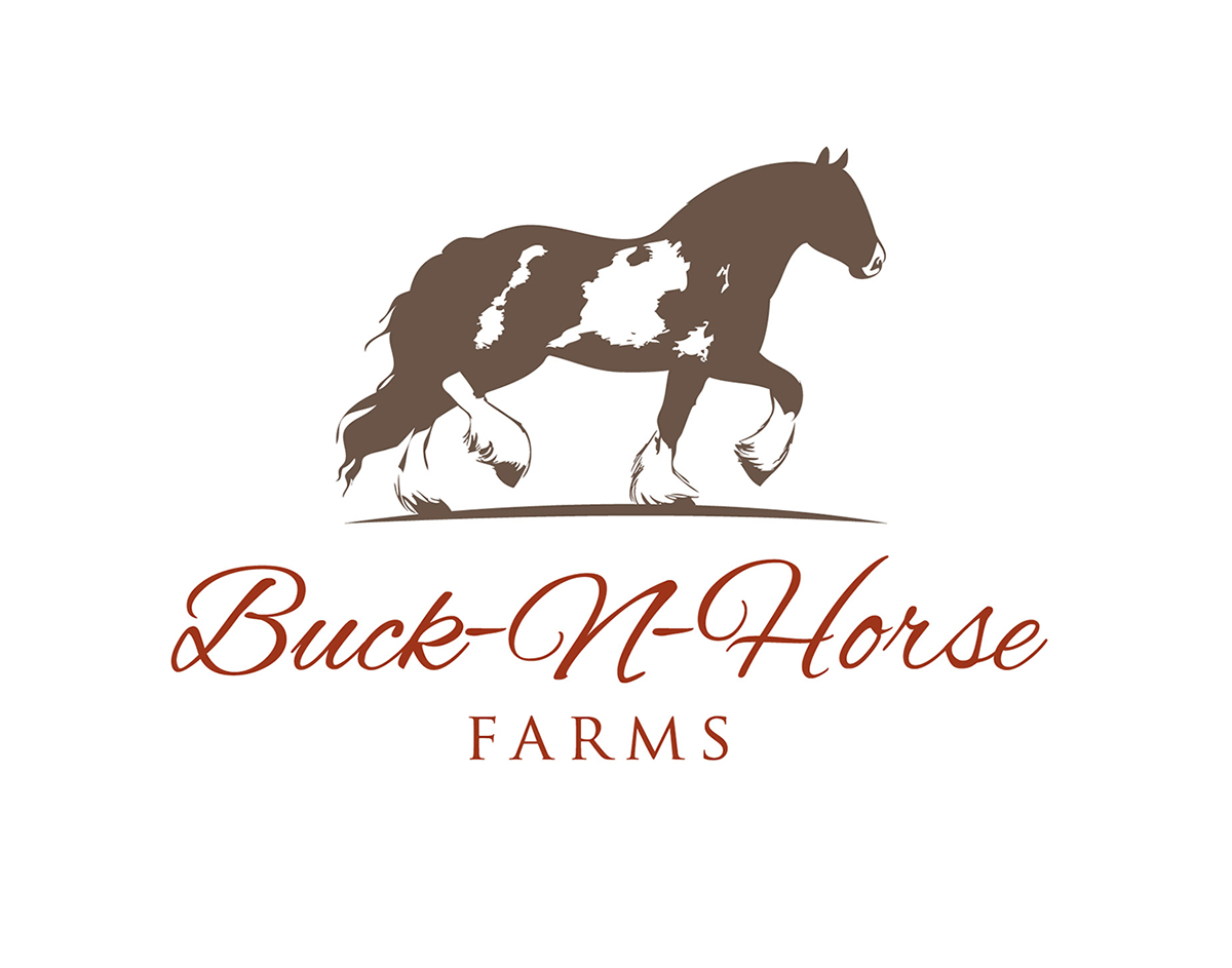 Design de Logo par Marta Sobczak  pour Buck -N- Horse Farms | Design #3537006