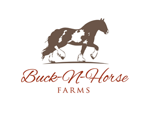 Logo Design by Marta Sobczak  for Buck -N- Horse Farms | Design: #3537006