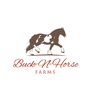 Logo Design by Marta Sobczak  for Buck -N- Horse Farms | Design: #3546353