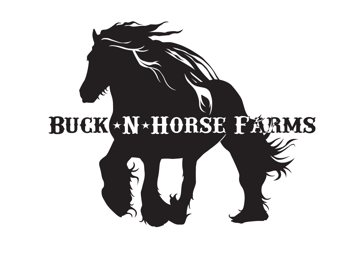 Logo Design by Jamerondesign for Buck -N- Horse Farms | Design #3462940