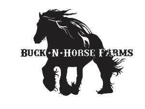 Logo Design by Jamerondesign