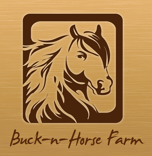 Logo Design by Angler Designs for Buck -N- Horse Farms | Design #3492239