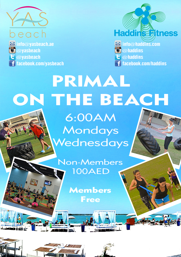 Diseño de Flyer por Tommy Håvik para este proyecto | Diseño #3466335