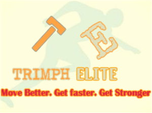 Business Card Design by walana.fahad jutt for Triumph Elite | Design: #3440628