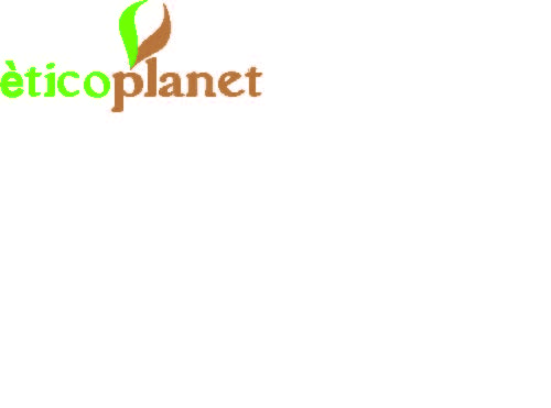 Logo Design by On The Rocks Creations for this project | Design #85526