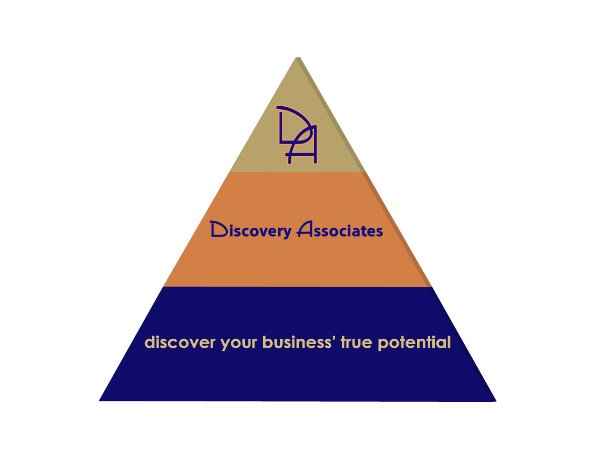 Logo Design by echidna for Discovery Associates, LLC | Design #3505359