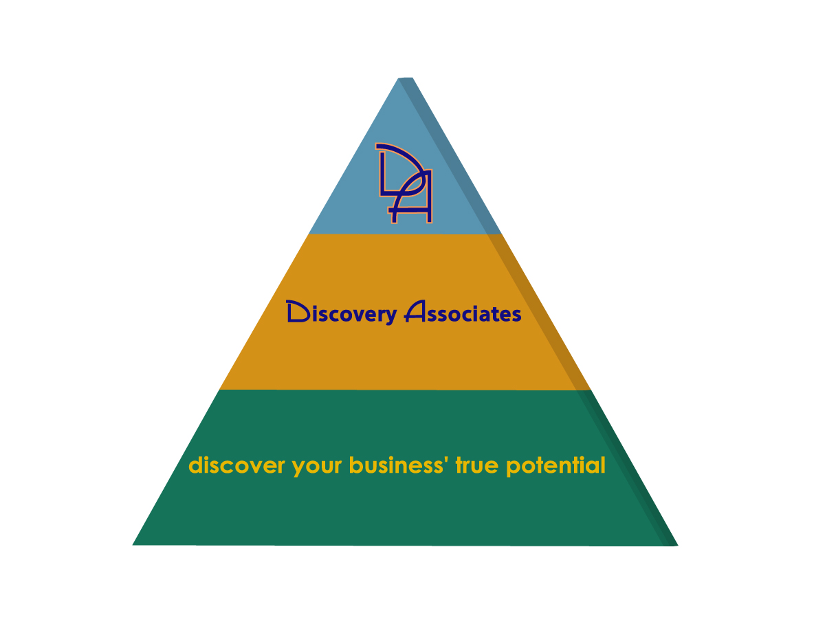 Logo Design by echidna for Discovery Associates, LLC | Design #3505370