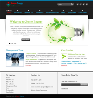 Web Design by Desire Design Solutions for Boomtown Internet Group, Inc. | Design: #867517