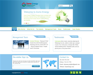 Web Design by Desire Design Solutions for Boomtown Internet Group, Inc. | Design: #869484