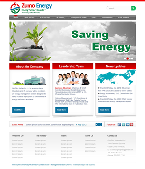Web Design by Desire Design Solutions for Boomtown Internet Group, Inc. | Design: #879097
