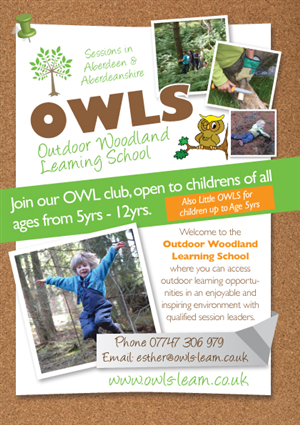 Flyer Design by Lou Sharp