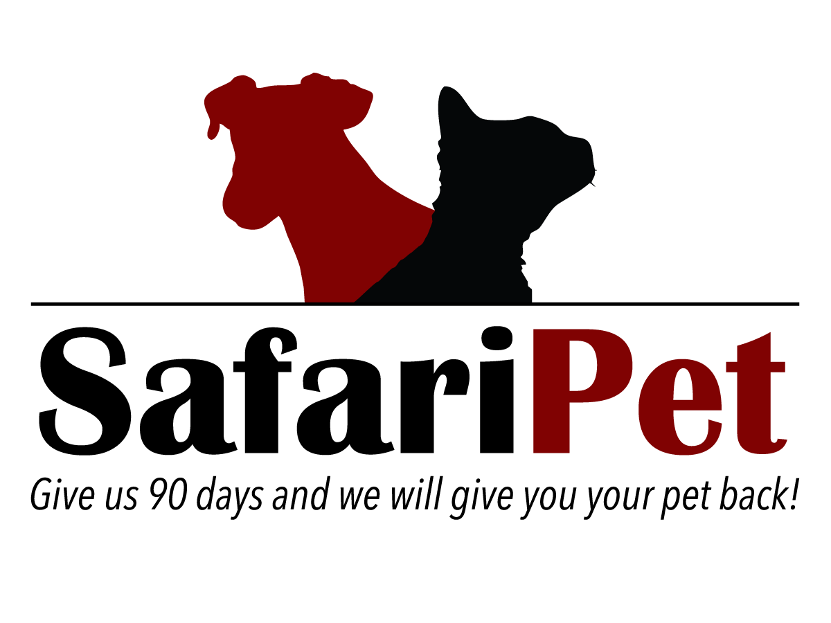 Logo-Design von DeZion Creations für dieses Projekt | Design #3467000